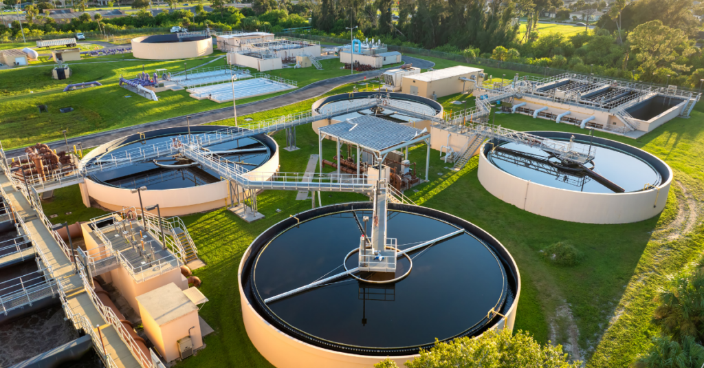 Biofilm on Electrospun Membranes for Water Purification