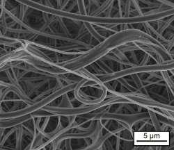 Microstructure of a tropoelastin nonwoven