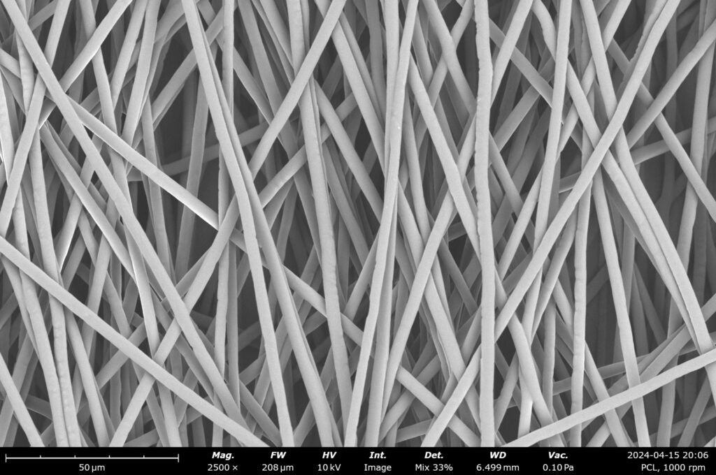 PCL aligned fibers made at 1000 rpm