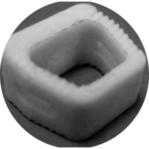 andamio biomimético