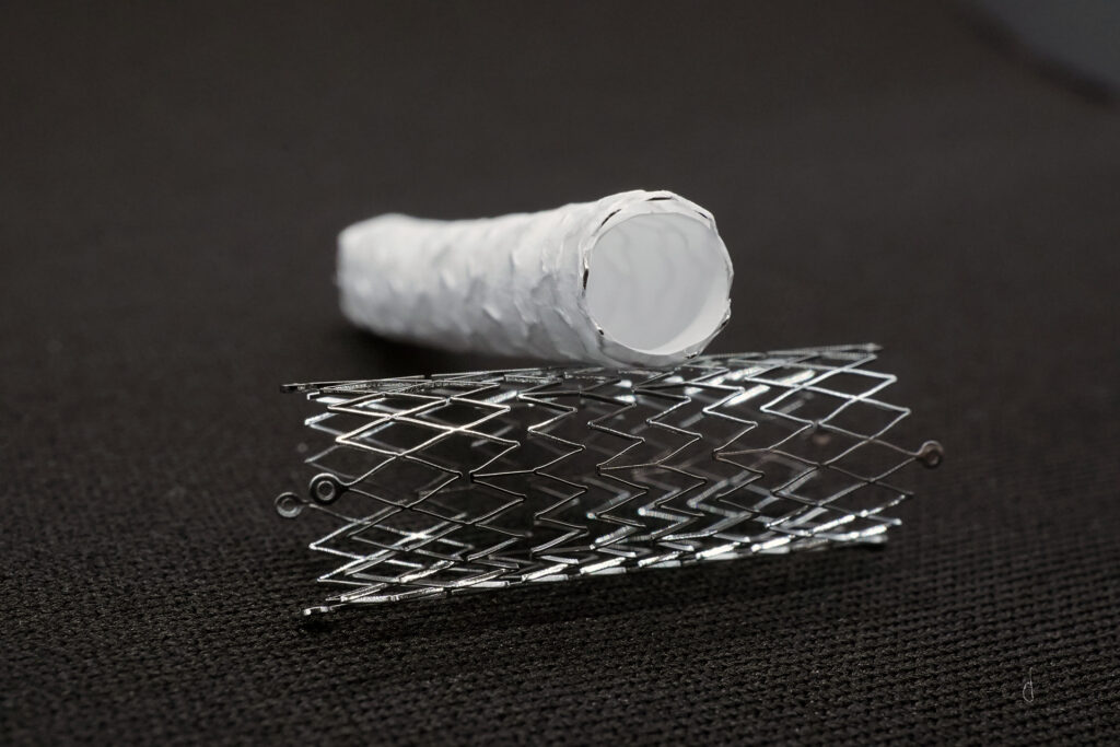 Electrospun Regenerative Scaffolds